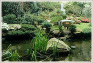 backyard landscape home improvement